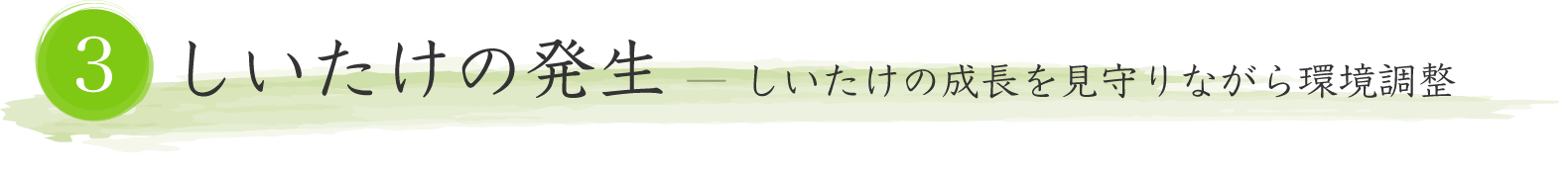 しいたけの発生／しいたけの成長を見守りながら環境調整