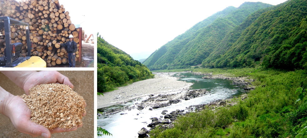 広葉樹と四万十川の風景が並んだ写真